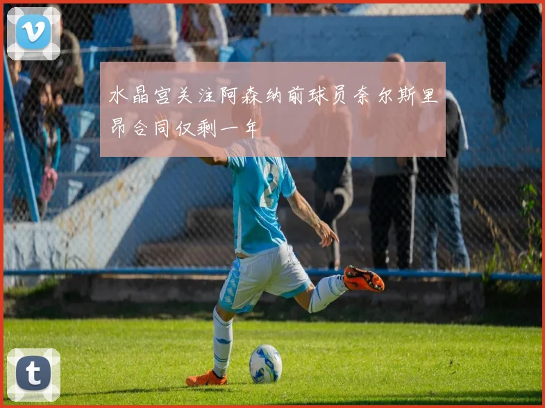 水晶宫关注阿森纳前球员奈尔斯里昂合同仅剩一年